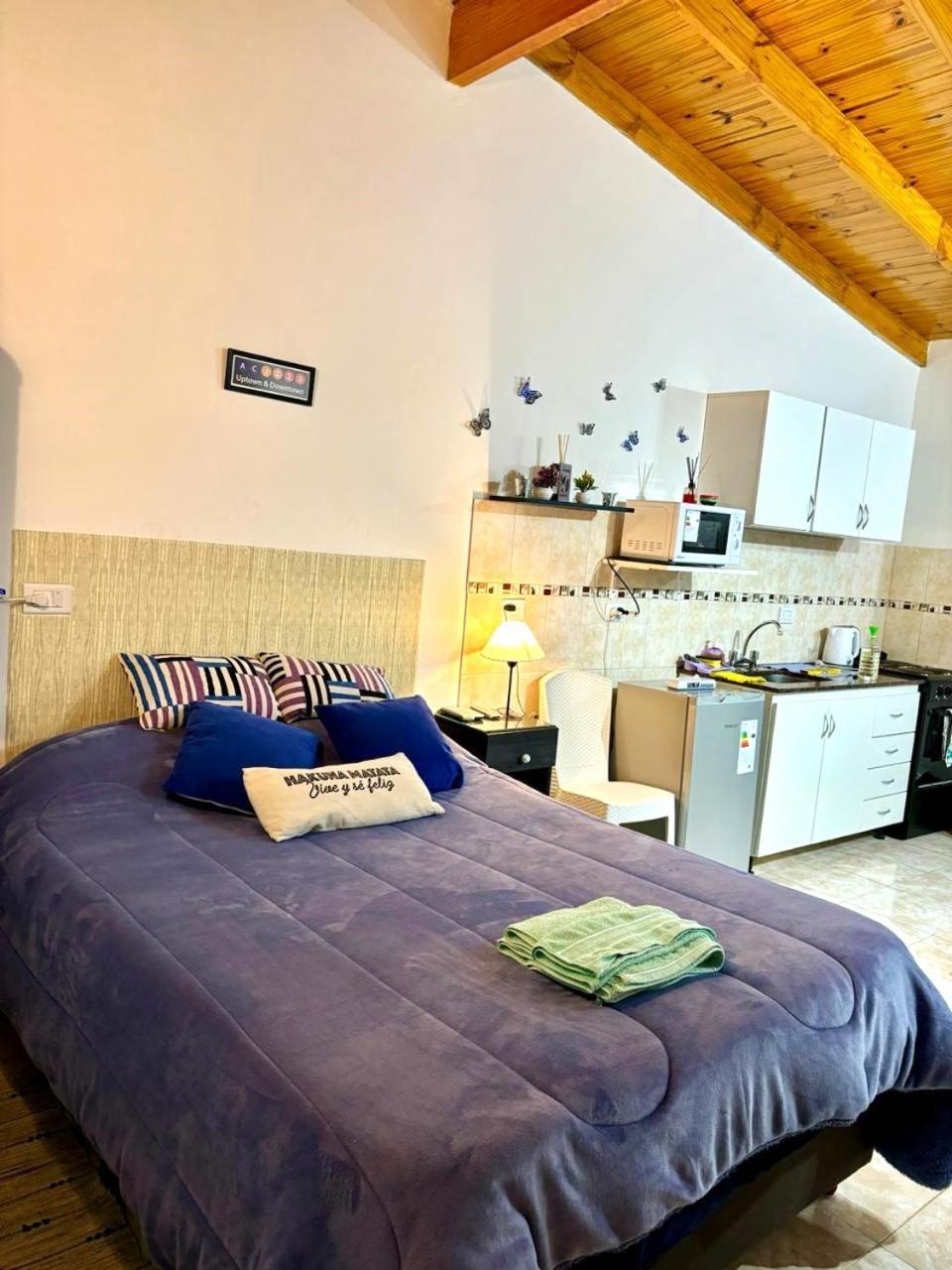Apartment Monoambiente A Estrenar Se Centro Nqn Neuquen